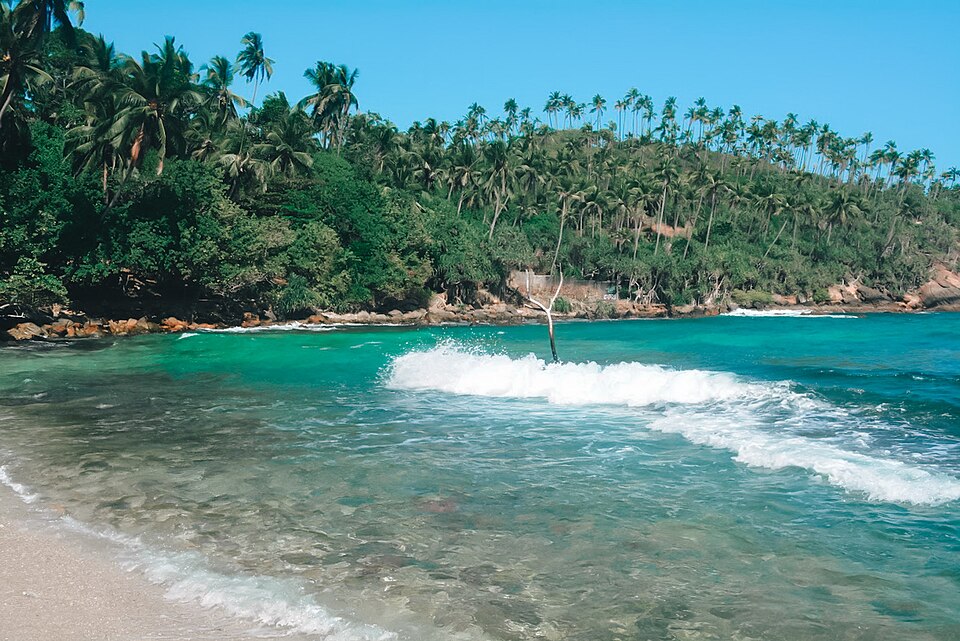 Palm-fringed sandy bay with turquoise water at Mirissa